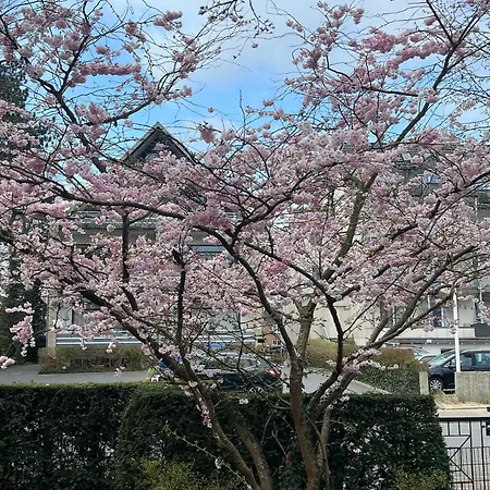 Duenenhaus Garten 2 Schlafzimmer Lägenhet