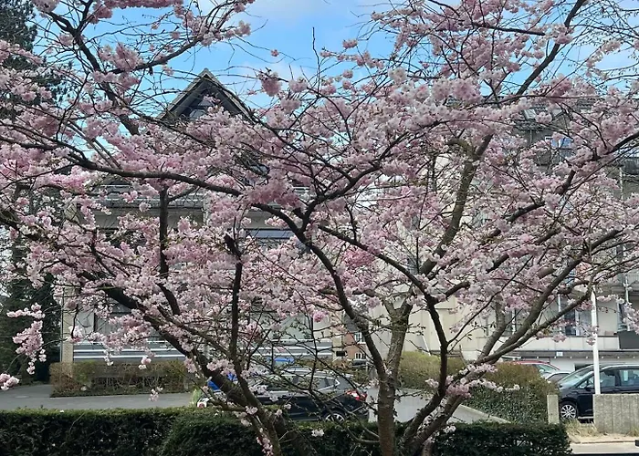 Duenenhaus Garten 2 Schlafzimmer Appartement